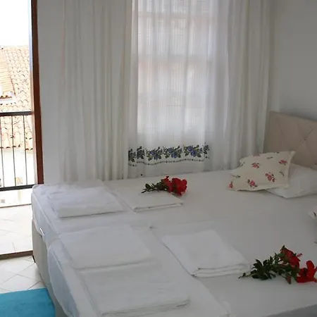 Caretta Homestay *
