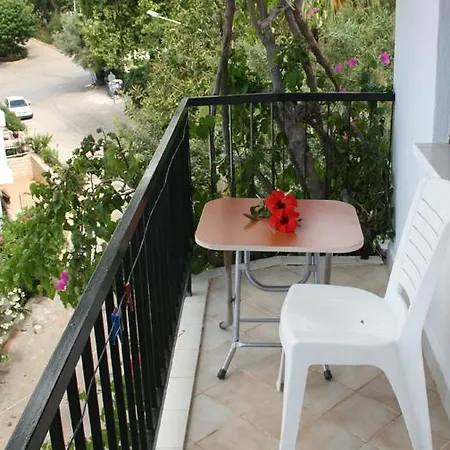Caretta Homestay