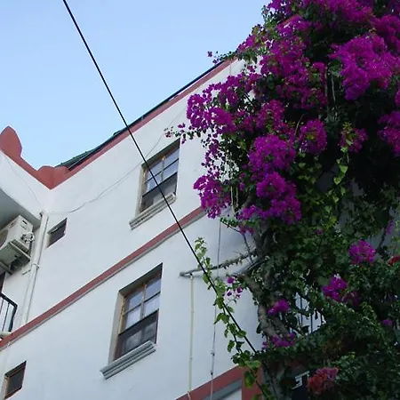 Caretta 홈스테이 *
